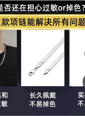 925足银蛇骨项链男士潮牌百搭高街小众嘻哈街头简约锁骨链配饰礼