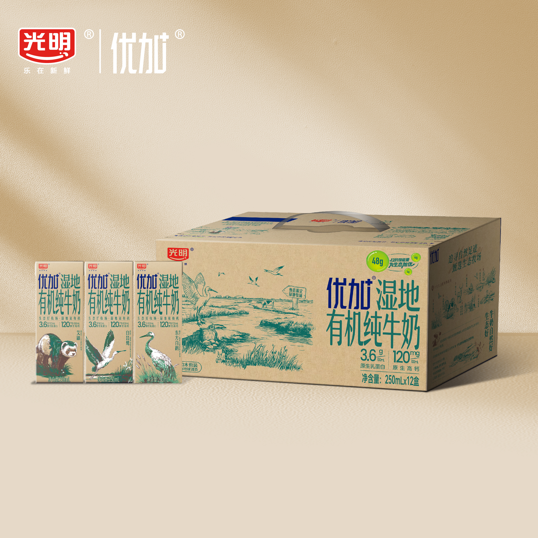 【新品】光明优加湿地3.6克蛋白有机纯牛奶250ml*12盒