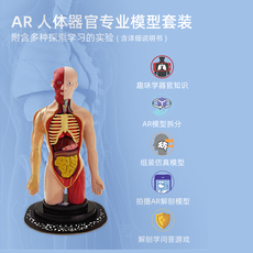 Интерактивная игрушка App 怡高科教可拆卸人体器官模型百科ar互动科教玩具人体科学人体模型