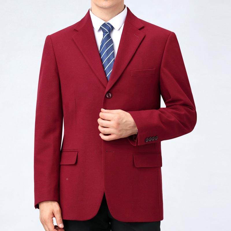 冬款男士羊毛西服装商务秋休闲毛料免烫单件便服高端2805大码西新,淘宝优惠券,粉丝福利购,淘宝优惠卷