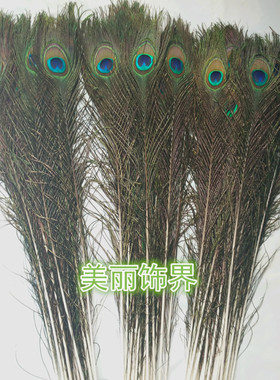 diy印度全新孔雀羽毛保真装饰品