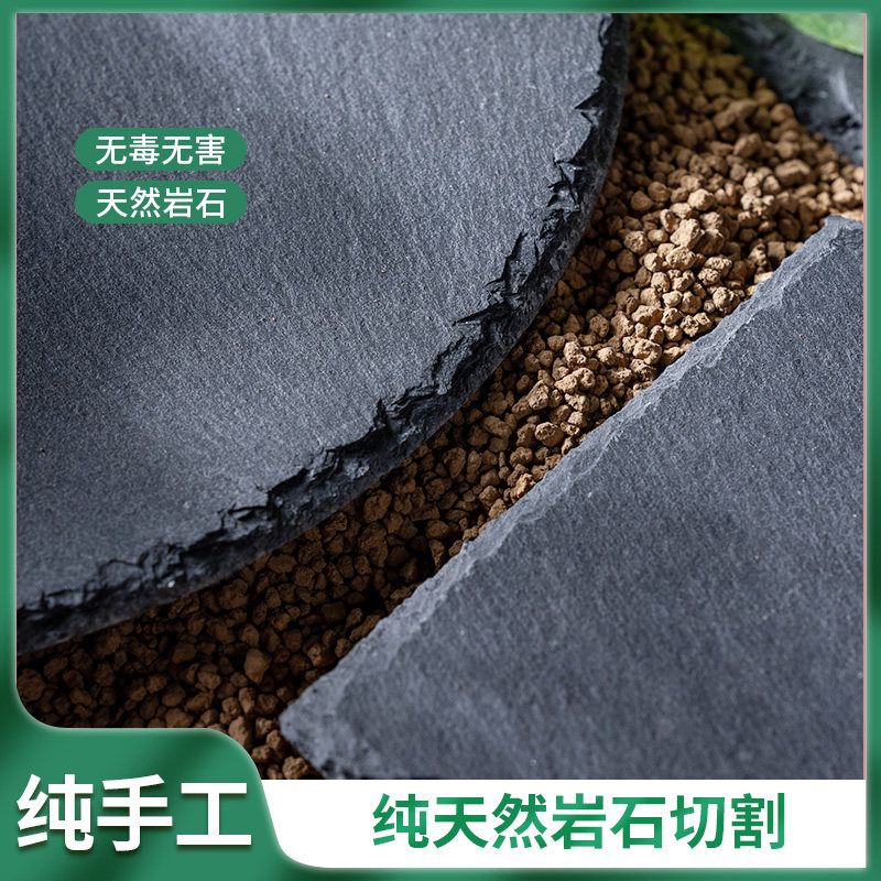 爬虫蜥蜴食盆磨指甲岩板陆龟石板垫材爬虫箱垫材造景装饰保湿保温,淘宝优惠券,粉丝福利购,淘宝优惠卷