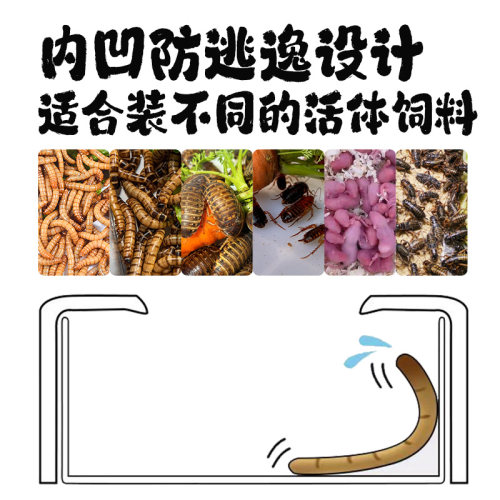 酷克爬虫守宫蜥蜴陶瓷食盆防逃爬宠鬃狮蜘蛛饲养箱活虫杜比亚食碗 - 图1