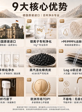 德国原装进口大流量矿物质净水器