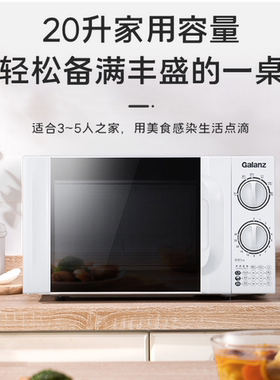 精准控温20升微波炉