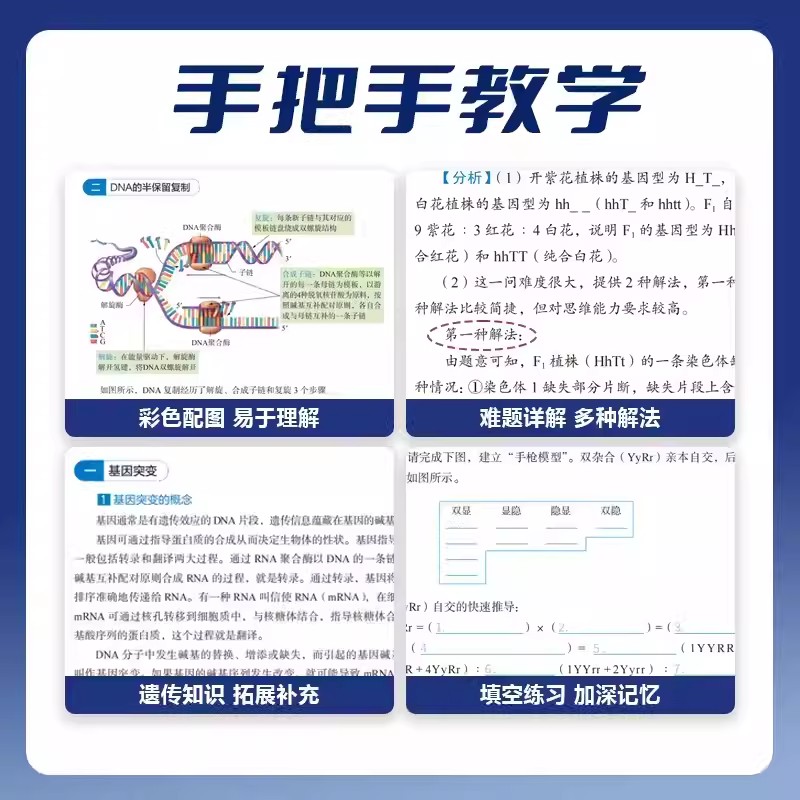 汉水丑生高中生物基础知识2024回归课本填空零基础学遗传汗水丑生高中生物高一二三高考生物一轮复习育甲教辅资料知识清单手册大全-图3