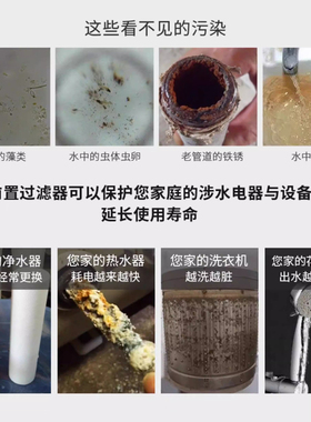 316L医用级不锈钢反冲洗过滤器
