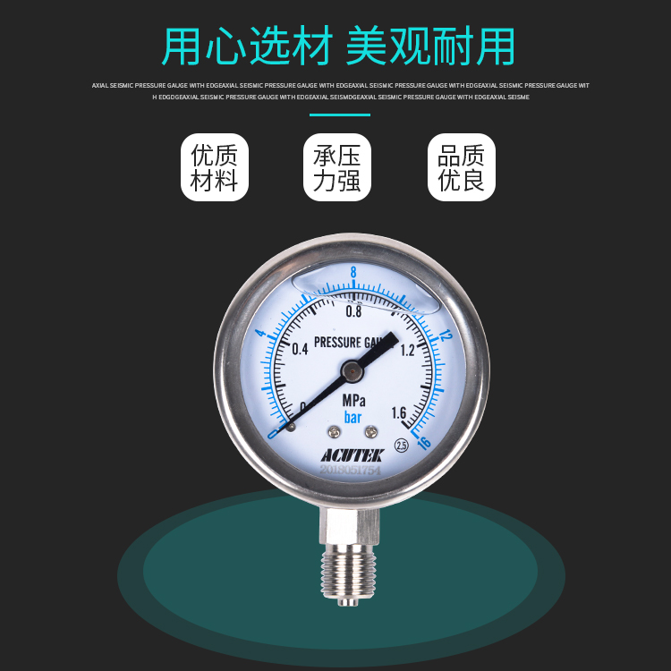 ACUTEK 304不锈钢耐震压力表YN60BF 1.6MPA M14*1.5 耐高温压力表 - 图0