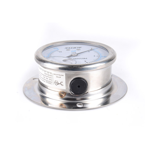 ACUTEK径向带边船用耐震压力表YN60T 10bar G1/4 液压 防震压力表 - 图2