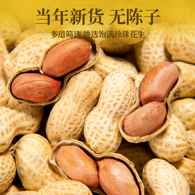 Xudong’s crispy and delicious Xinjiang Hongyazi