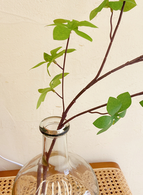 ins风仿真马醉木绿叶插花花束 简约室内软装花卉客厅装饰道具拍照