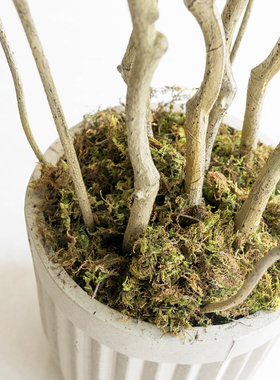 天然椰丝棕丝苔藓块仿真造景橱窗装饰材料天然椰丝棕丝苔藓块草皮