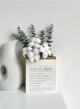 韩风ins绿植树叶创意北欧家居装饰品仿真尤加利纸袋干棉花艺摆件