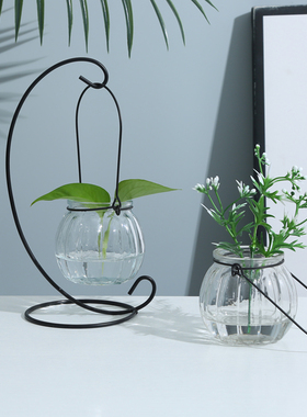 创意铁架水培绿萝玻璃花瓶容器盆办公室内桌面绿植现代摆件装饰品