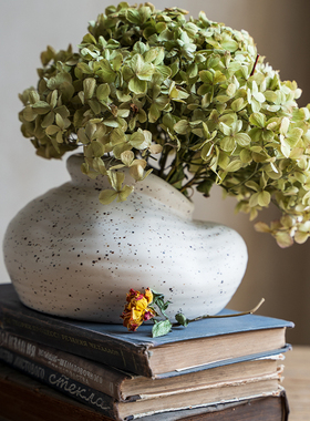 【七茉】陶瓷花瓶北欧创意干花插花花器客厅电视柜家居装饰摆件