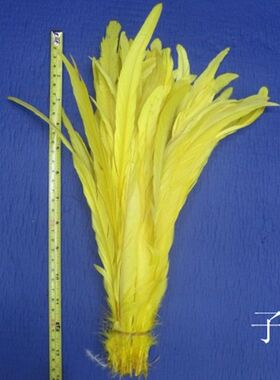 羽毛鸡毛花样繁多30-40CM