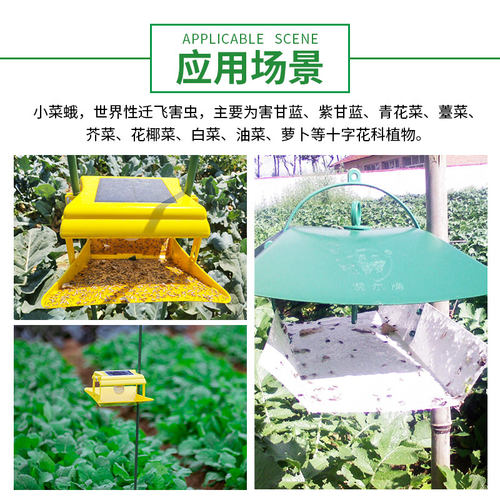 中捷四方小菜蛾信息素诱芯昆虫性诱剂引诱农用除虫蔬菜杀虫剂 - 图3