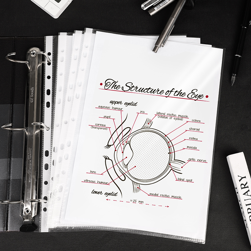 得力a4透明文件袋11孔活页插袋十一塑料资料册文件夹学生资料袋试卷收纳袋透明文件袋资料袋5712/64050-图1