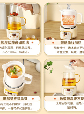 迷你养生壶办公室小型熊盖家用煮茶壶2023新款煮茶器烧水壶养生杯