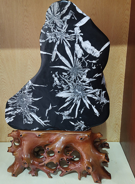 天然菊花石原石摆件家居装饰送礼