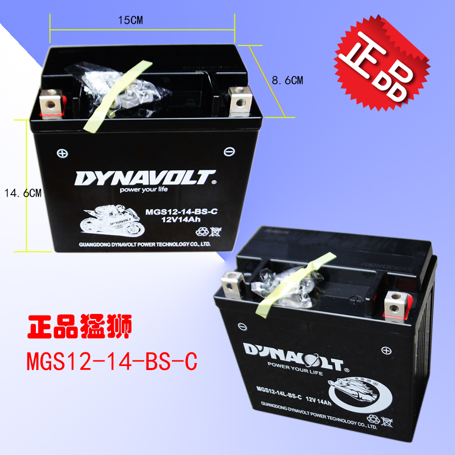 摩托车电瓶YTX14-BS蓄电池12V14A宝马1200 哈雷883 正品猛狮 - 图1