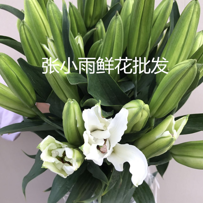 新鲜白百合鲜切花多颜 A级香水百合 头大杆粗 水养花同城鲜花直批 - 图1