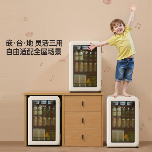 HCK哈士奇小冰吧透明冷藏柜家用客厅办公室饮料茶叶小型复古冰箱 - 图2