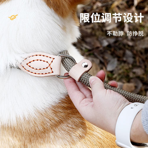 狗狗绳子防爆冲P链柯基牵引绳项圈中大型犬狗链防挣脱溜遛狗绳子 - 图1