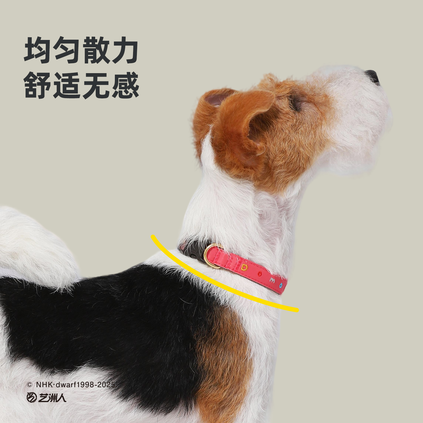 Hoopet × 多摩君联名 宠物小猫小型犬脖圈不勒脖颈圈狗狗项圈 - 图0