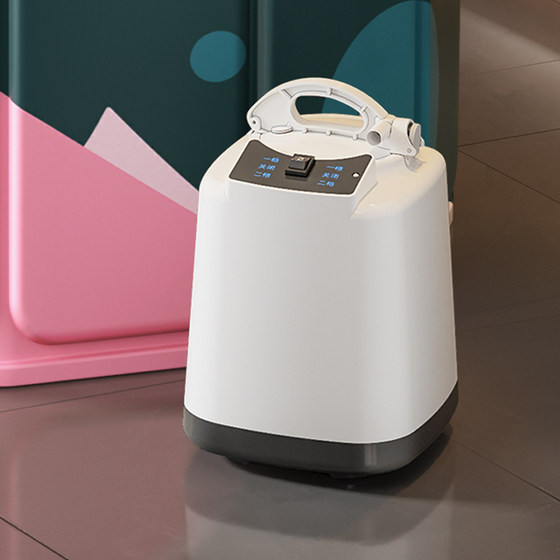 Fumigation machine steam fumigation instrument sweat box fumigation