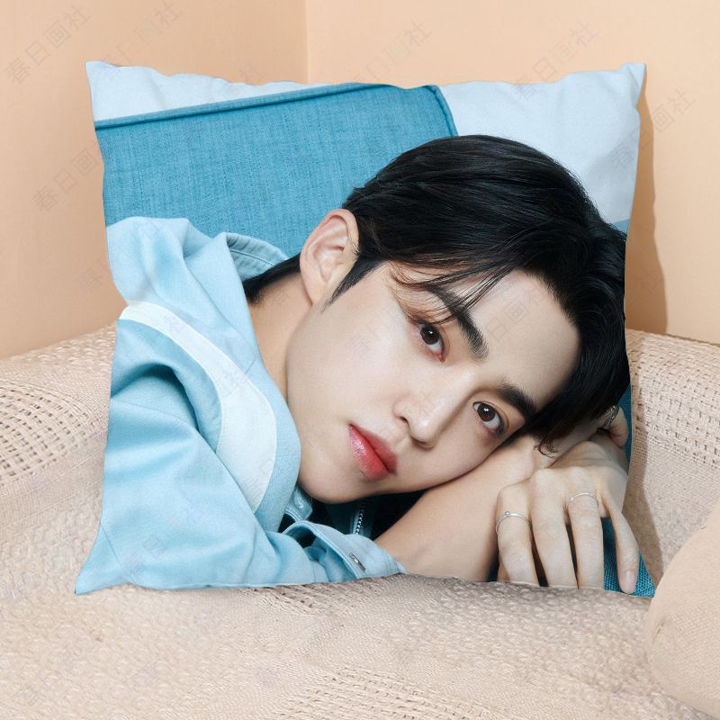 The second group Choi Seungcheol's 17th pillow, the same style S.COUPS