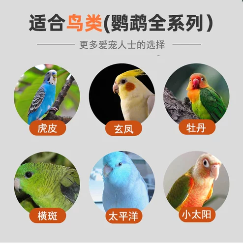 Свежее и полное питание, вкусное, не боясь выбрать попугайную пищу