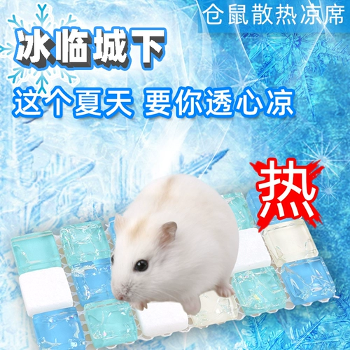 再再 Охлаждение хомяка Лето Золотое шелковое медвежье Ice Hous