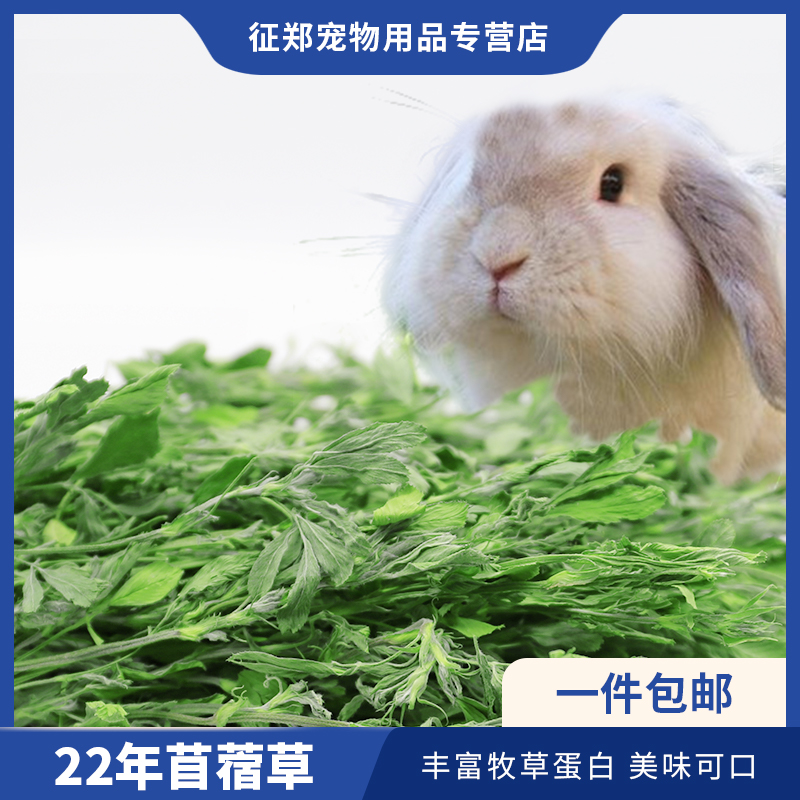 苜蓿草干草兔子粮食用紫花幼兔豚鼠食饲料专用龙猫吃的兔粮苜宿草 - 图0