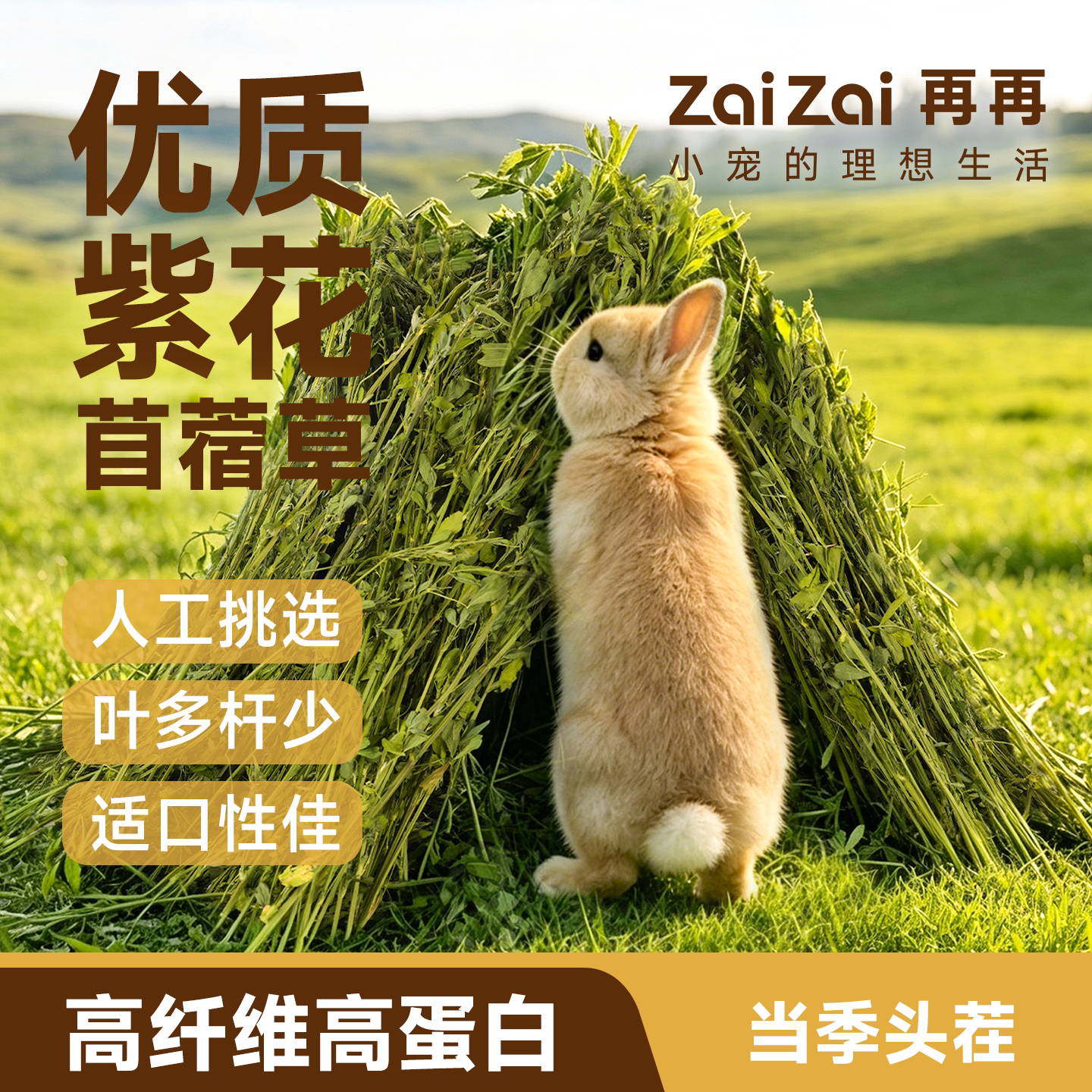 再再26年新苜蓿草幼兔专用干草兔子小麦草荷兰猪豚鼠粮食物饲料 - 图2