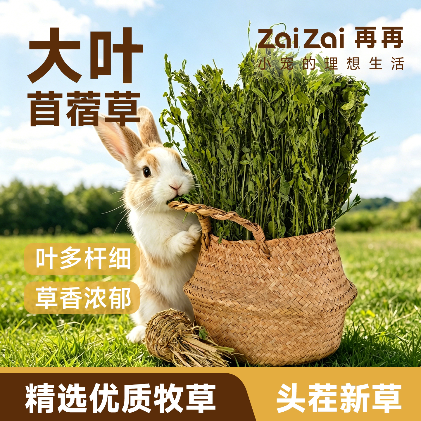 再再26年新苜蓿草幼兔专用干草兔子小麦草荷兰猪豚鼠粮食物饲料 - 图1