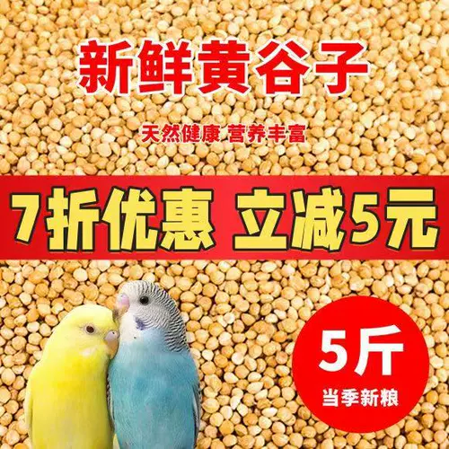 Новое желто -зерно с раковиной просо тигр кора пион черный феникс Маленький и средний.