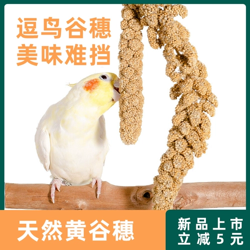 Попугай натуральные уши с оболочкой желто -зерно просо Черный Phoenix Tiger Skin Специальные продукты кормить жемчужные птичьи закуски