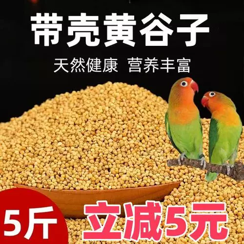 Новое желто -зерно с раковиной просо тигр кора пион черный феникс Маленький и средний.