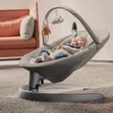 Голландские Nuna Leaf Baby Toy Toy Game Toys (специальные аксессуары)