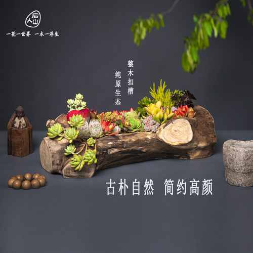 网红创意原生态多肉烂木头花盆简约个性阳台唐印石斛老树桩枯木槽 - 图0