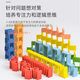 Colorful children's toys educational literacy dominoes