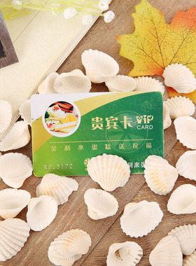 迷妆贝壳地中海风合集造景摆件