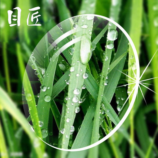 目匠防蓝光1.56非球面配近视眼镜片加工平光护目手机【0-400度】