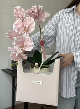 高端轻奢仿真蝴蝶兰盆栽假植物装饰摆件客厅室内仿真花假花摆设