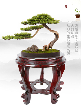 增高花盆景酒坛圆形木托盘奇石头
