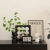 TV cabinet decorations, living room light luxury, high-end vase decoration paintings, room renovation small items, home decorations, good items