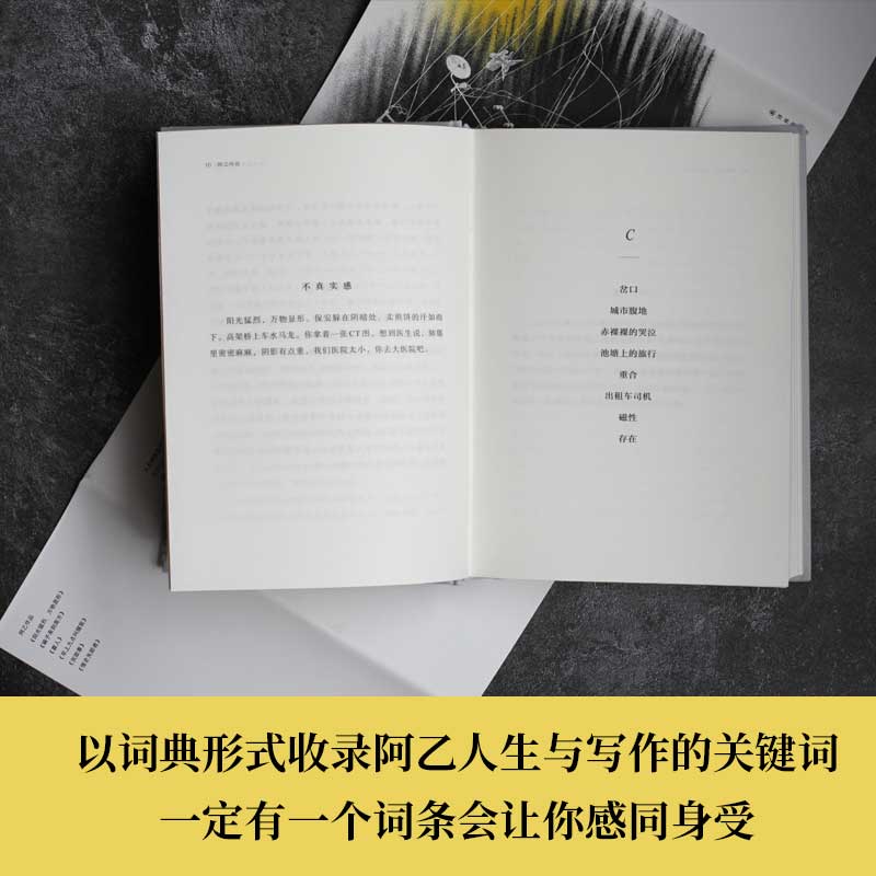 阳光猛烈 万物显形 阿乙作品以词典形式收录阿乙人生与写作的关键词 一本私人阅读和观影史作家成长指南豆瓣高分作品 译林出版社 - 图1