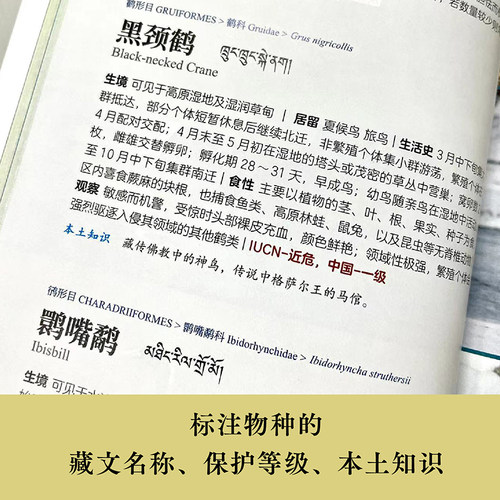 【天际线】三江源国家公园自然图鉴 700多个高原物种1000多张精美图片大自然科普百科书籍呈现壮阔土地上的缤纷生命译林出版社 - 图3