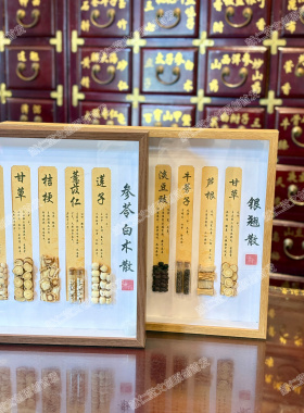 中医经典方剂中药立体标本框展示装饰画中医文创产品中药标本摆件